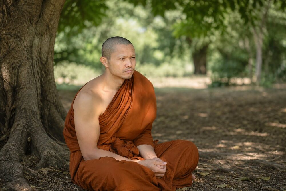Chanikul in monk's robes, sitting in meditation beneath a tree